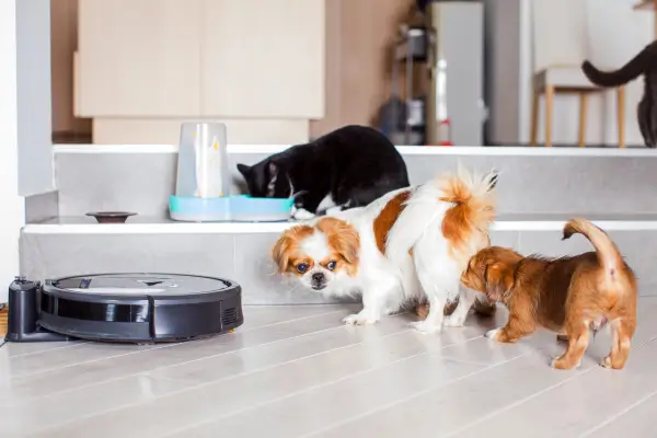 Robôs de Limpeza Autônomos com Sensores para Casas com Animais de Estimação