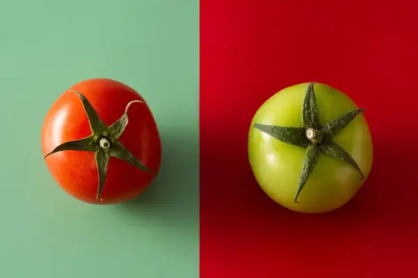 Benefícios de uma Alimentação Orgânica e Suas Vantagens
