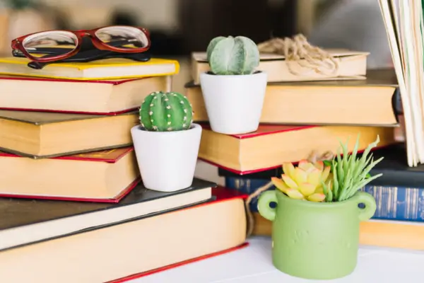 Livros Clássicos Brasileiros para Estudos Culturais